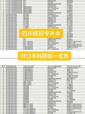 成都哪些学校可以专升本（成都哪些专科院校升本科）-图1