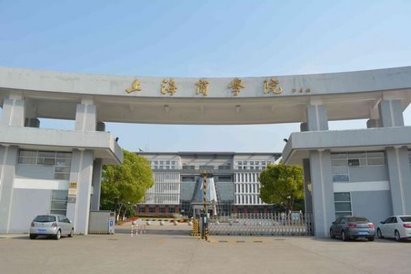 上海艺术学校（上海艺术学校有哪些大学）-图3