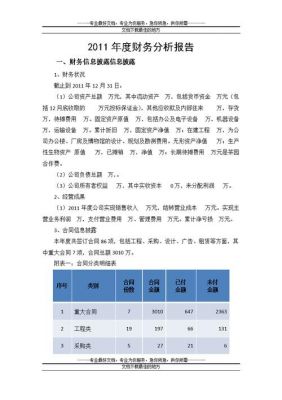 质量分析报告范文（财务分析报告范文ppt）-图3