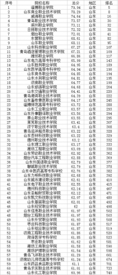 山东职业学院专科都有哪些（山东职业学院在山东省专科学校排名）-图3