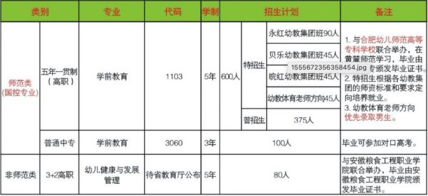 合肥市幼师学校招生（合肥市幼师学校招生条件）-图2