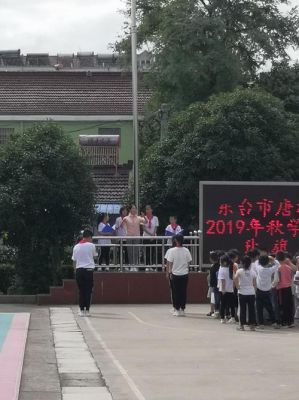 东台唐洋学校（东台市唐洋镇小学官网）-图1