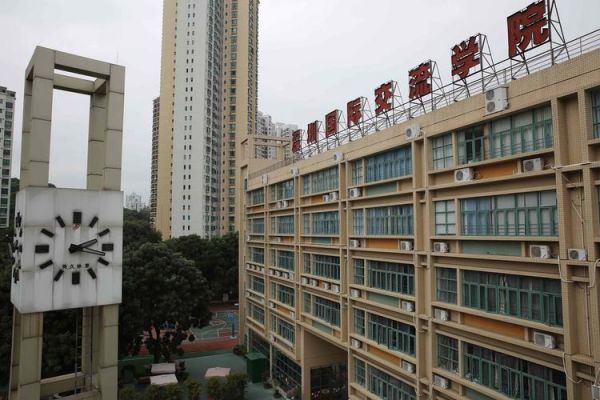 深圳深国交学校（深圳深国交有小学吗）-图3