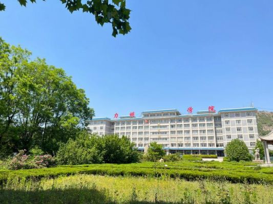 山东力明科科技职业学院（山东力明科职业技术学院）-图2