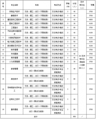 宜宾职业技术职业学院单招（宜宾职业技术学院2021单招计划）-图2