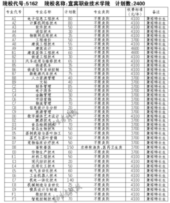 宜宾职业技术职业学院单招（宜宾职业技术学院2021单招计划）