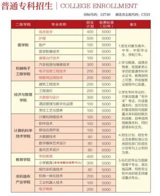 仙桃职业学院报名（仙桃职业学院报名费大概多少）-图2