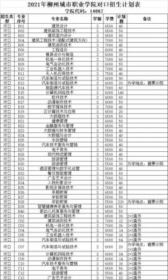 柳州城市职业学院声乐（柳州城市职业学院招生办电话是多少）-图2