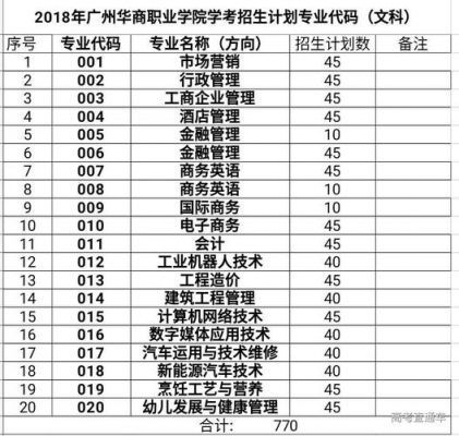 广州华商职业学院代码湖南（广州华商职业学院编号）-图2