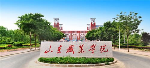 山东省铁路职业学院（山东省铁路职业学院有哪些）