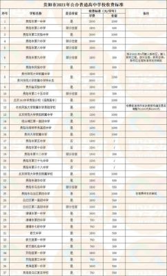 贵阳市的国际职业学院（贵阳国际学校学费一年多少）