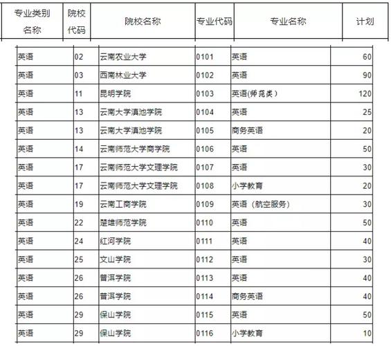 云南省英语专业学校（云南英语专业比较好的专科）-图3