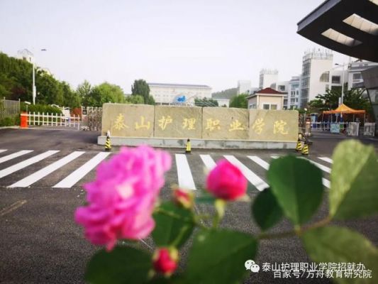 山护理职业学院怎么样（护理学校山东）-图3