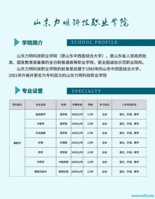 力明科技职业学院分出（力明科技职业学院招生简章）-图2