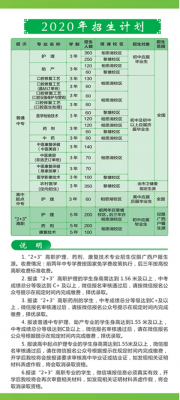 南京卫生学校学费（南京卫生学校2020年招生简章）-图3