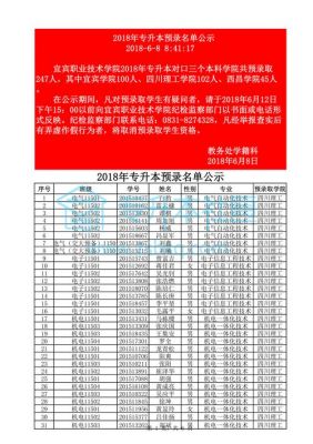 四川宜宾职业学院有哪些（宜宾职业技术学院川内排名）-图2