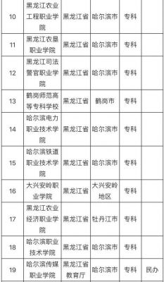 齐齐哈尔大专学校（齐齐哈尔的专科大学排名）-图2