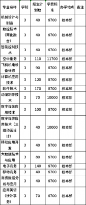 沈阳北软信息职业学院学费（沈阳北软信息职业技术学院多大）