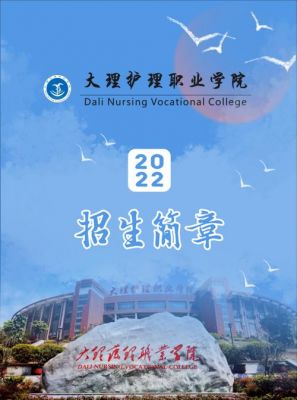 大理护理职业学院属于（大理护理职业学院属于什么类型）-图2