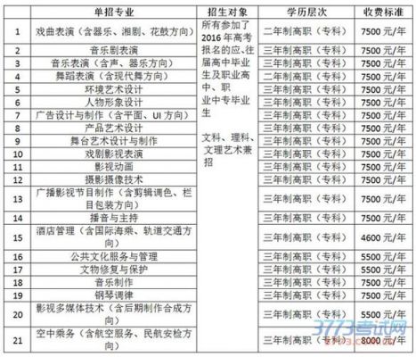 湖南艺术职业学院网上报名（湖南艺术职业学院网上报名时间）-图2