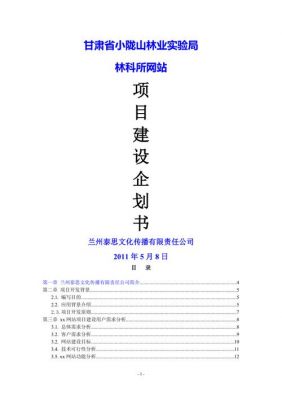 网站建设策划书范文（网站建设策划书范文怎么写）-图3