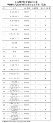 2018胜利职业学院（胜利职业学院2021招生）-图2