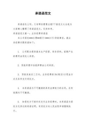 对政府承诺书范文（政府承诺函的格式范文）-图3