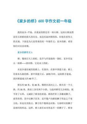 桥的范文（关于桥的优秀作文600字左右）-图2