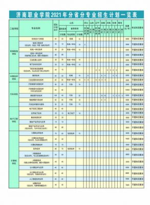 济南职业学院安徽2020（济南职业学院安徽2020招生计划）-图2