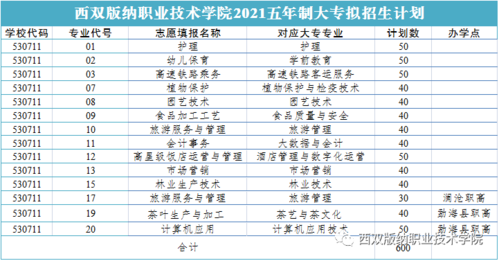 西双版纳技术职业学院报名（西双版纳职业技术学院招生章程）-图2