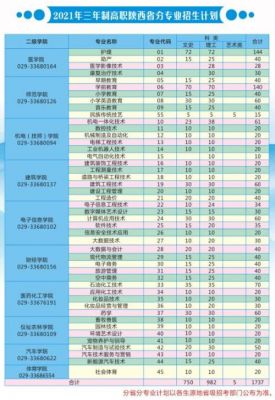 咸阳职业学院分数线（咸阳职业技术学院录取）-图3