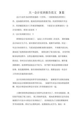 会计实训报告范文（会计实训报告范文三篇）-图2