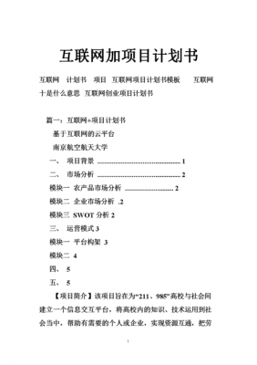 互联网策划书范文（互联网策划书怎么写）-图1