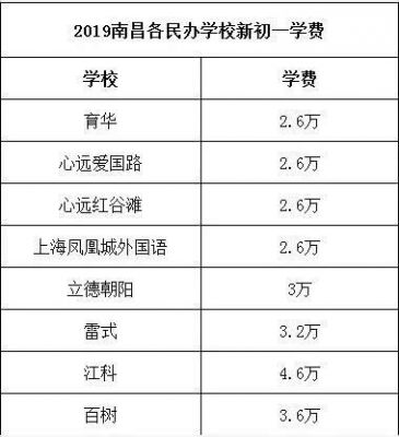 南昌外国语学校多少钱（南昌外国语学校初中一学期所有费用多少钱）-图2