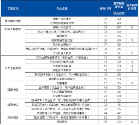 职业学院特色办学（职业技术学院特色专业）-图1