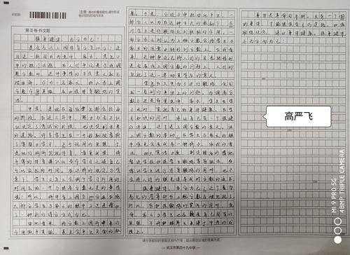 武汉高考作文范文（湖北武汉高考作文2021）-图2