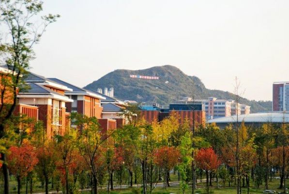 贵州财经大学职业学院（贵州财经大学职业学院花溪）