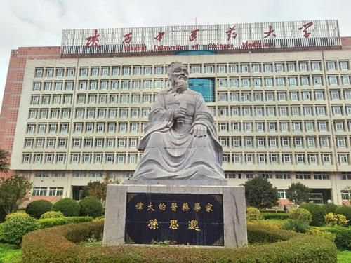 陕西的中医学校有哪些（陕西的中医学校有哪些专业）-图2