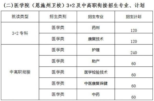 恩施职业学院有医护专业吗（恩施职院有些什么专业）-图2