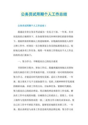 公务员的工作总结范文（公务员的工作总结300字）