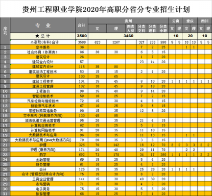 贵州工程职业学院分类（贵州工程职业学院有什么专业）-图1