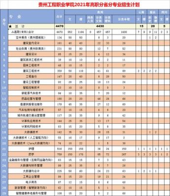 贵州工程职业学院分类（贵州工程职业学院有什么专业）-图3