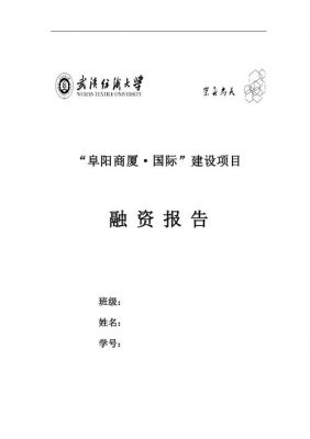 融资报告范文（融资报告怎么写）-图1