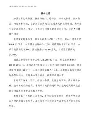 融资报告范文（融资报告怎么写）-图3