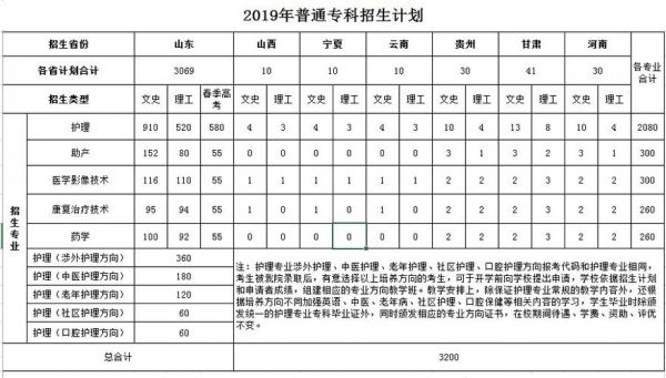 泰山护理职业学院费用（泰山护理职业学院2021学费）-图2