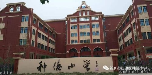 新乡市私立学校（新乡市私立学校小学）-图3