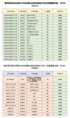 福州英华职业学院招生（福州英华职业学院招生计划）-图2