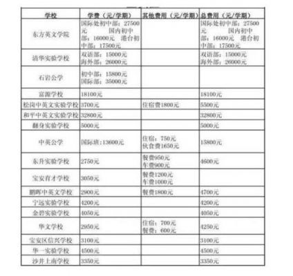 石岩育才学校学费多少（石岩育才学校学费多少钱一学期）