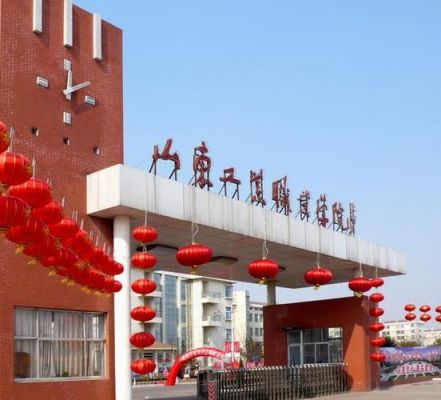 山东工业职业学院分（山东职业学校）-图2