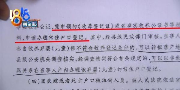 弃婴上户口申请书范文（弃婴上户口申请书范文怎么写）-图3